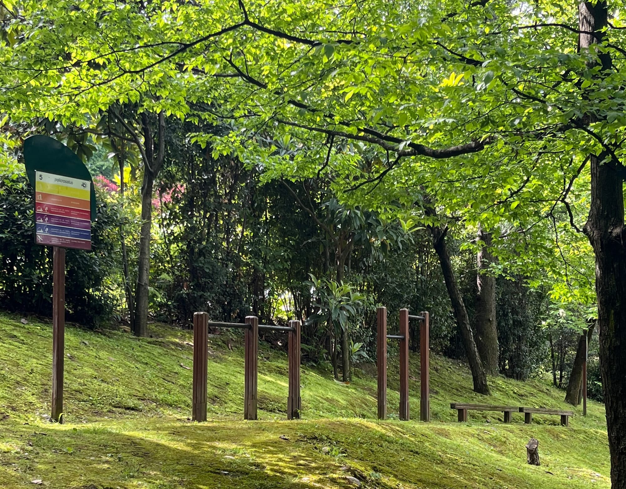 Chemin de marche à l'Albereta